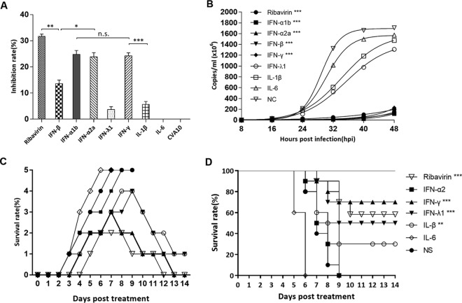 FIG 6