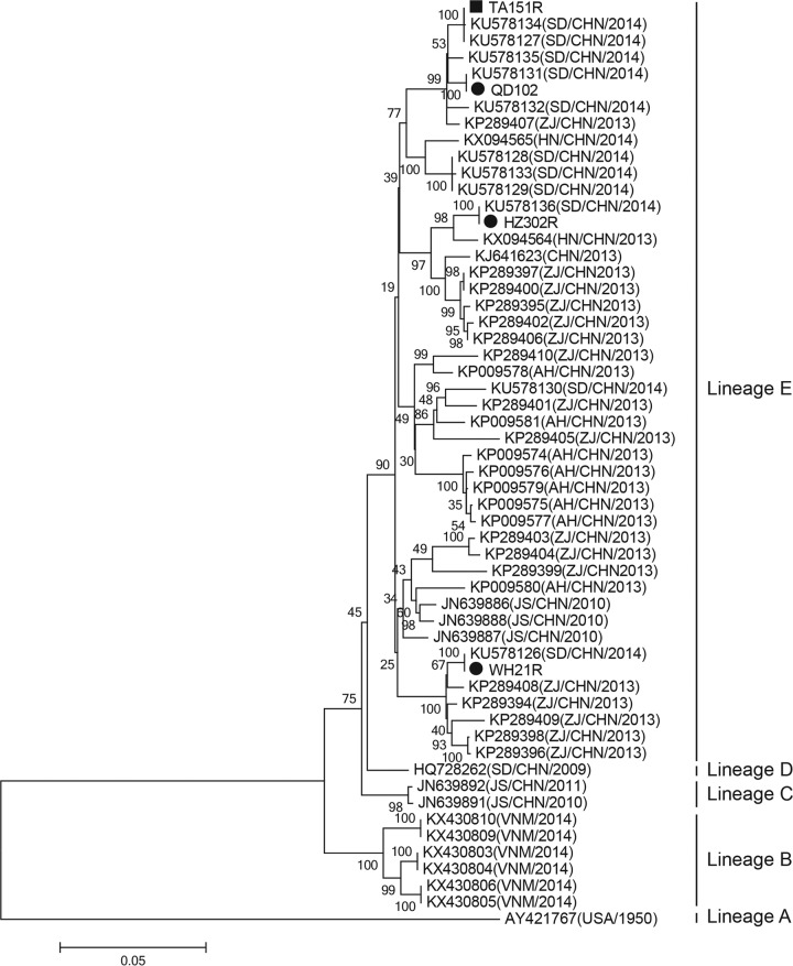 FIG 1