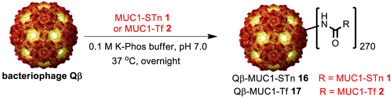 Scheme 4.