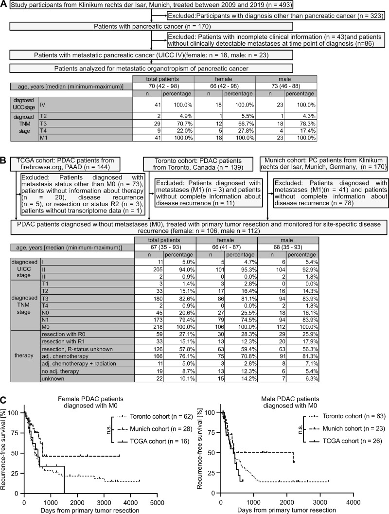 Figure S1.