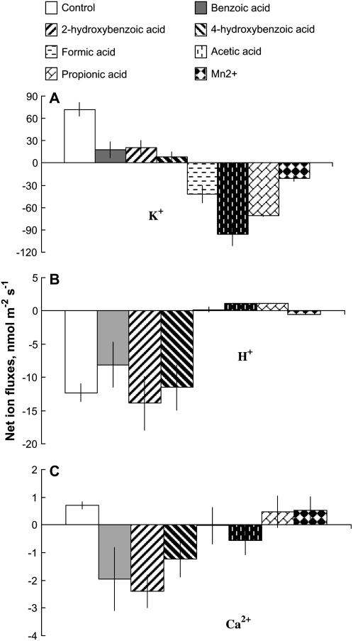 Figure 5.