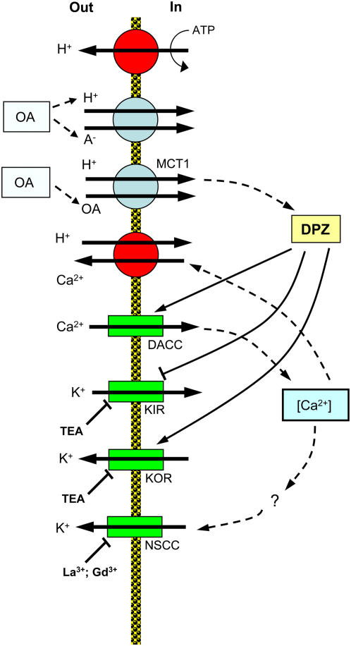 Figure 10.