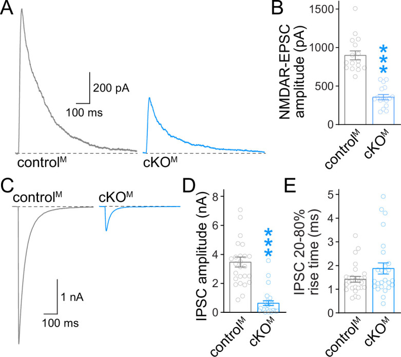 Figure 1—figure supplement 2.