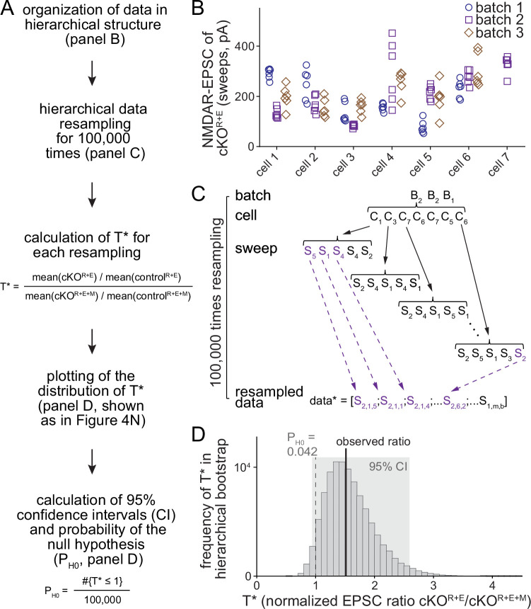 Figure 4—figure supplement 2.