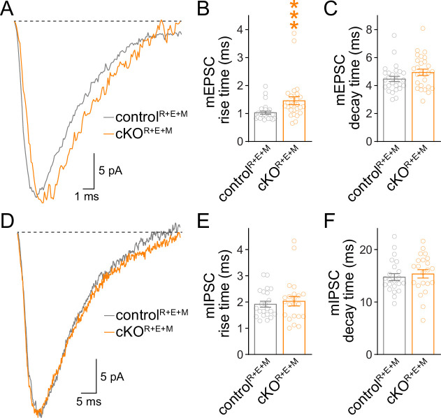 Figure 4—figure supplement 1.