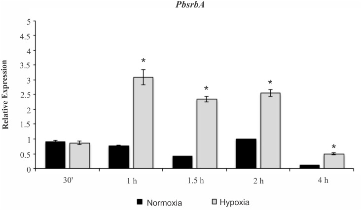 Fig 6