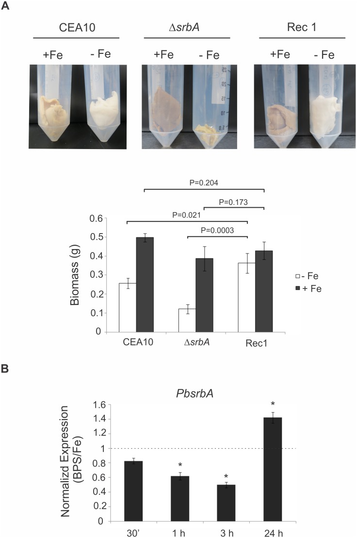 Fig 9