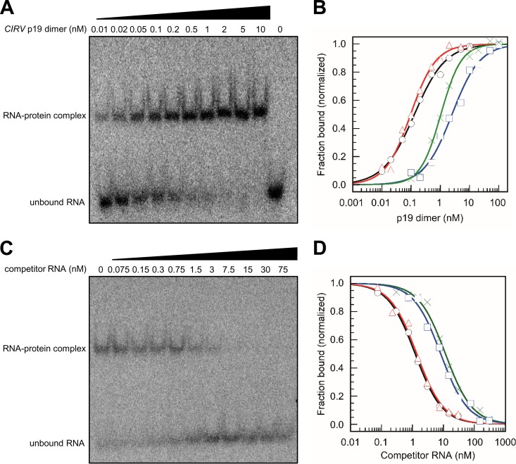 FIG 2 