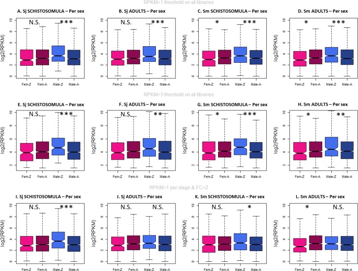 Figure 2—figure supplement 16.