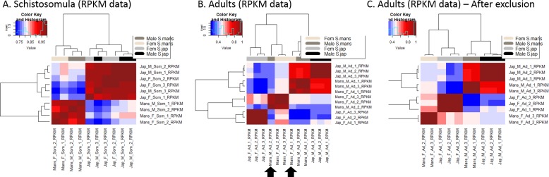 Appendix 1—figure 4.