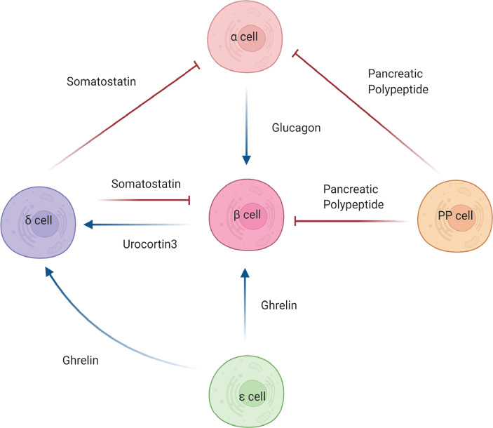 Figure 2