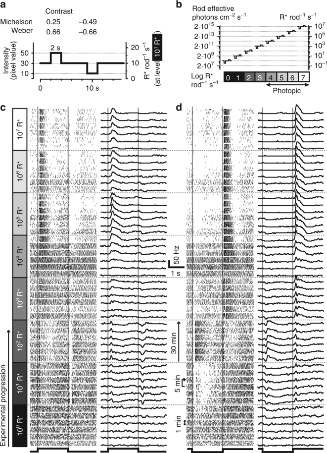 Fig. 2