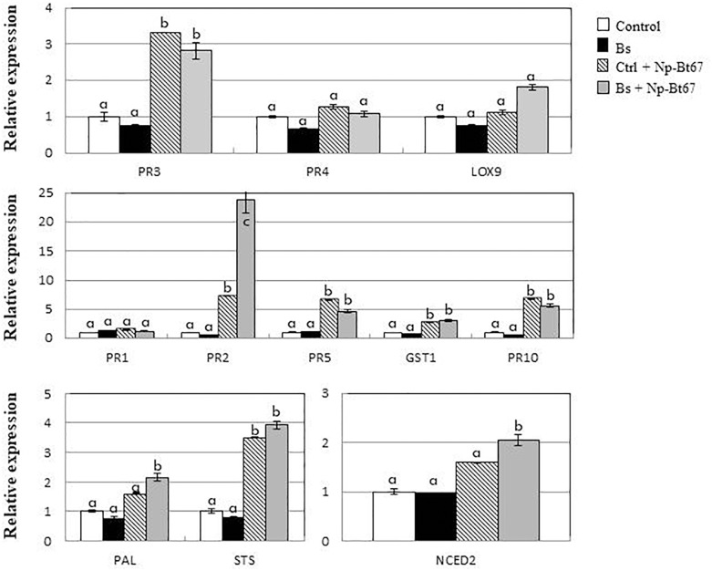 FIGURE 4