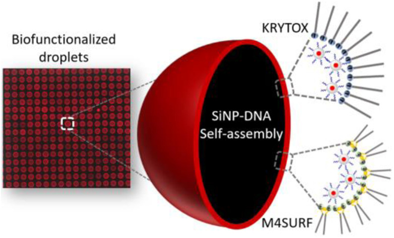 graphic file with name d3na00124e-ga.jpg