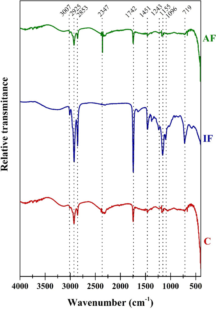 FIGURE 3