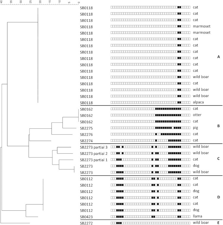 FIG 2