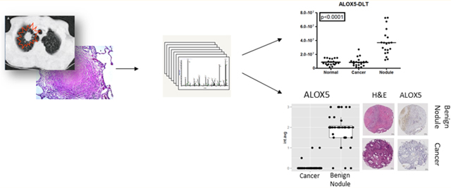 graphic file with name nihms-1004360-f0006.jpg