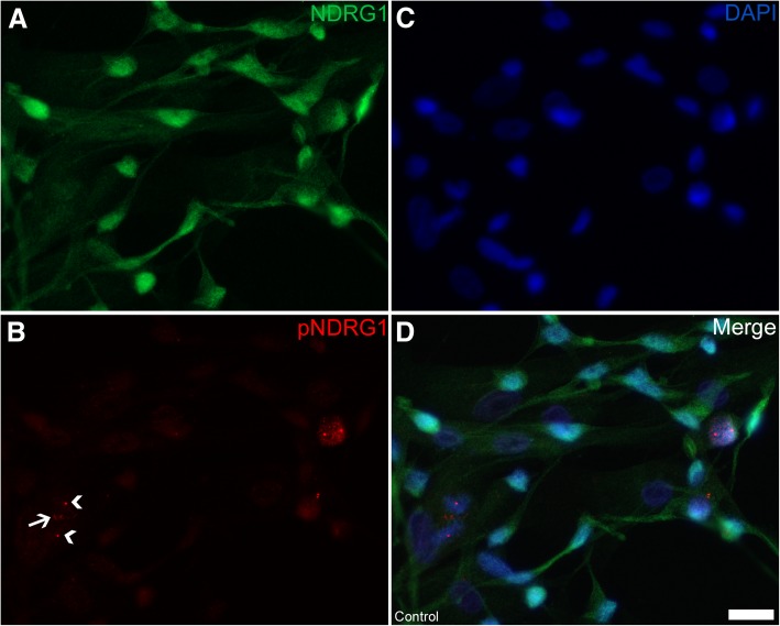 Fig. 11