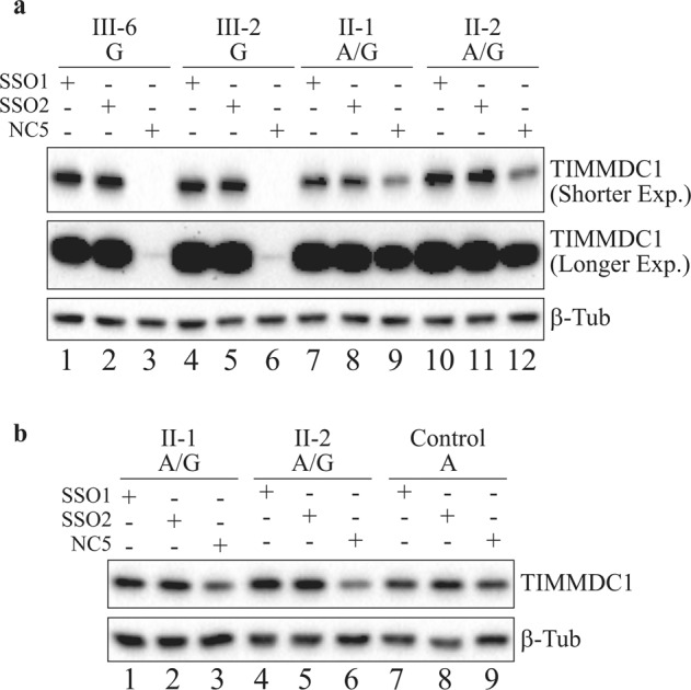 Fig. 9