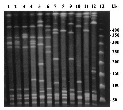 FIG. 1