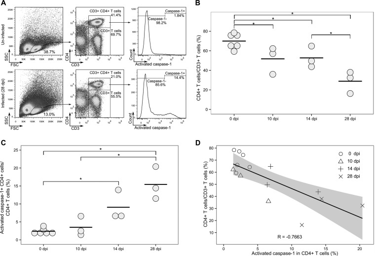 FIG 3