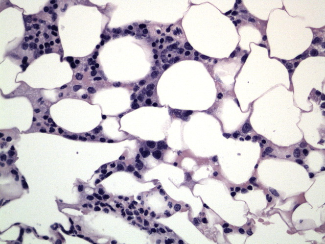 Fig. 1