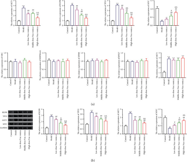 Figure 11