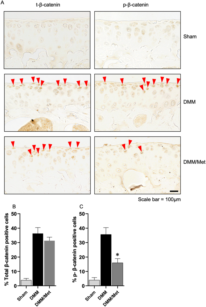 Figure 5