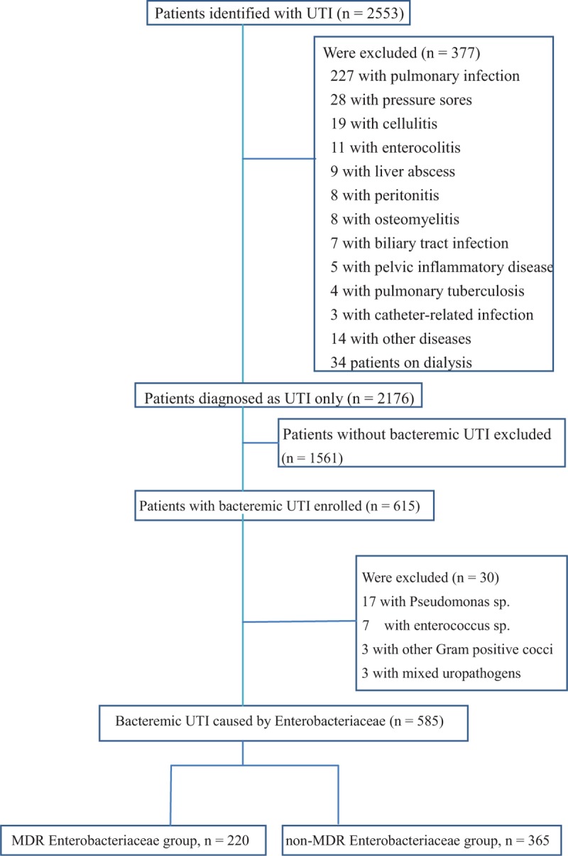 FIGURE 1