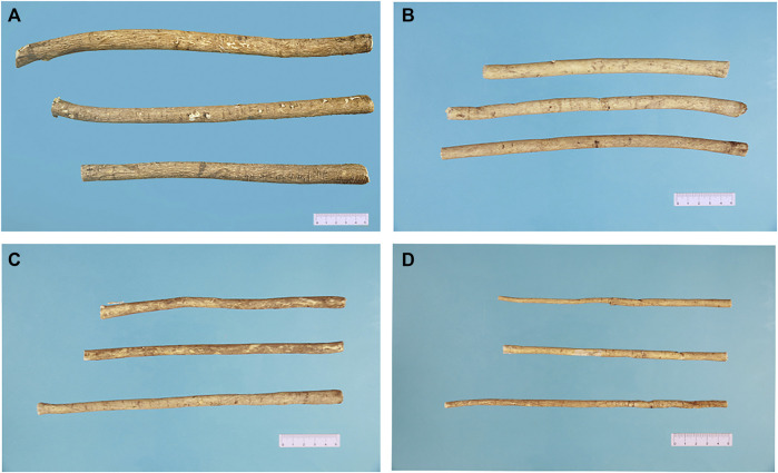 FIGURE 3