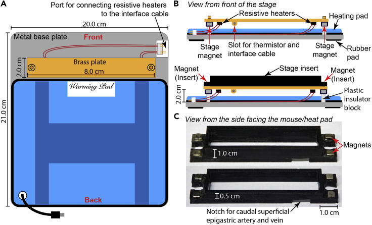 Figure 2