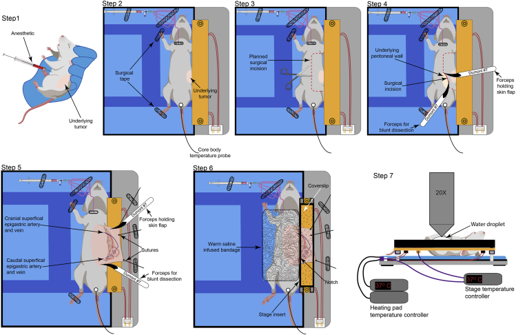 Figure 6