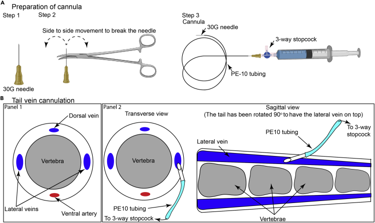 Figure 4