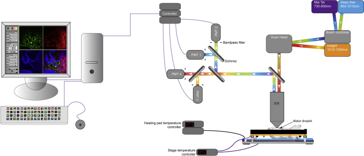 Figure 1