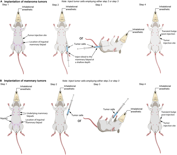 Figure 3