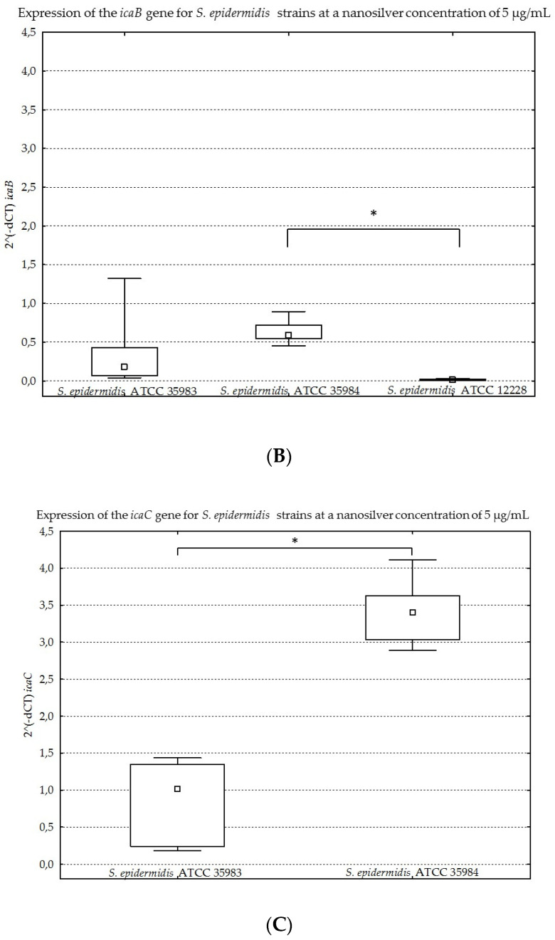 Figure 11