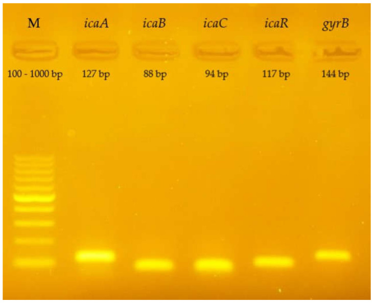 Figure 7