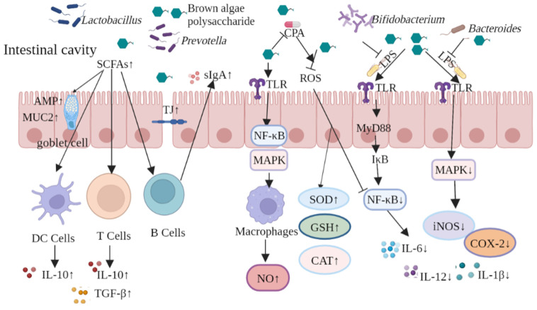 Figure 7