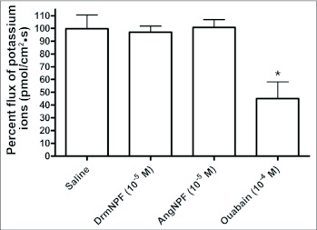 Figure 11. 