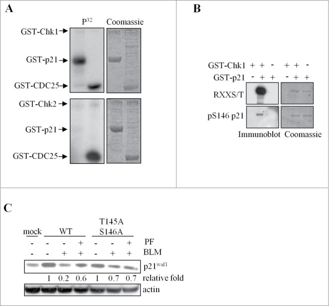 Figure 5.