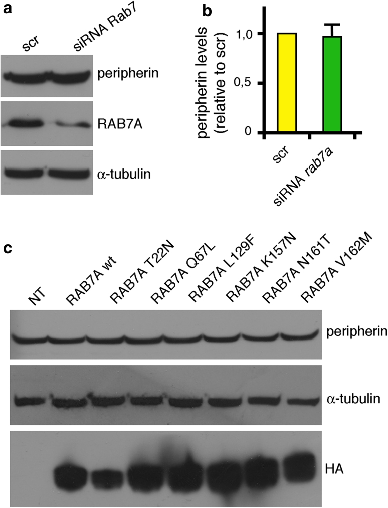 Fig. 7