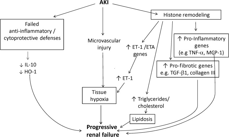 FIGURE 4: