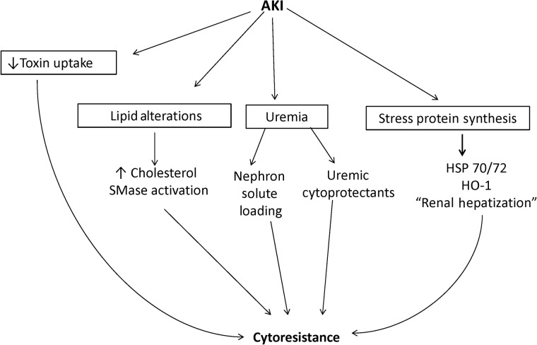 FIGURE 1: