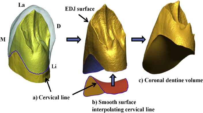 Figure 1