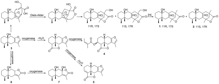 Figure 9