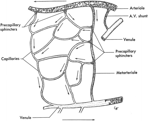 Fig. 9