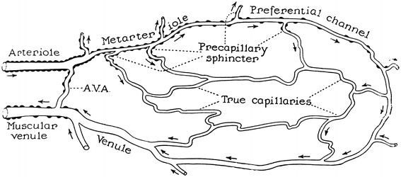 Fig. 7