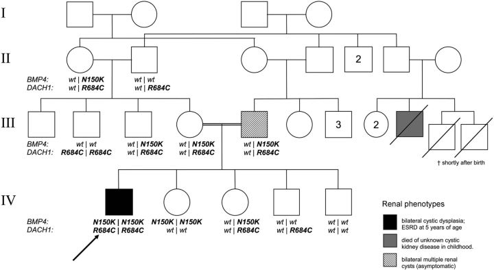 Fig. 2.