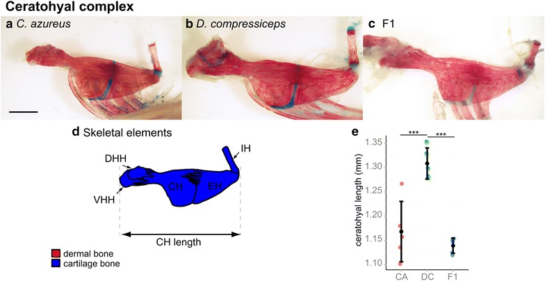 Fig. 8