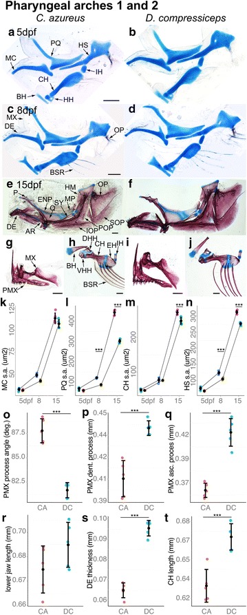 Fig. 12